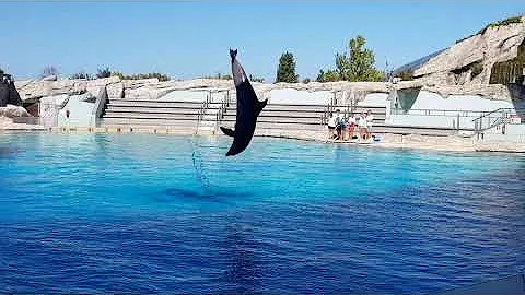Quanto tempo ci vuole per visitare l'Acquario di Cattolica?