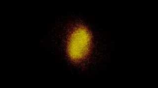 Kalnajs' discs - evolution of self-gravitating N-body systems