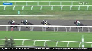 2026 $175,000 Seaway Stakes (G3)