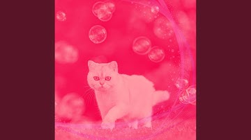 Modern Waltz - Vibe for Lazy Cat Days