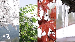'나의 한 편의 사계절' #3 Four Seasons in Korea : Episode 03