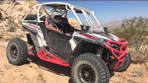 Vendetta on customers rides