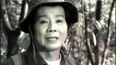 Thương Em Nhiều Qua Lá Thư Xuân   - Trọng Hữu