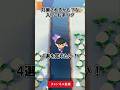 入り込むバグ4選を知りたい!@ほのげ【あつ森】