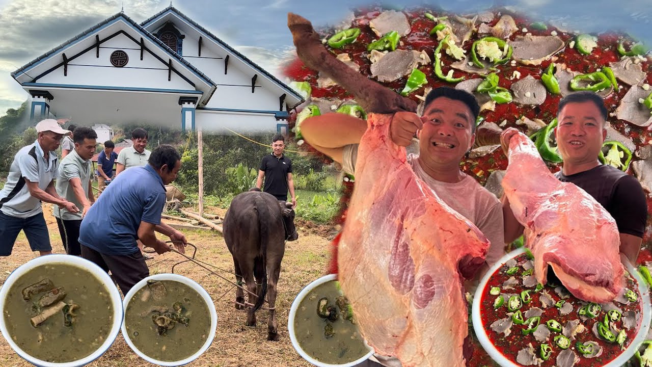 Mừng Nhà Mới Chú Vĩnh, Tiết Canh Pịa Toàn Món Ngon Cỗ Vùng Cao - Nhịp ...