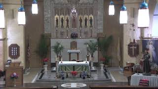 St Francis English Mass - 9am