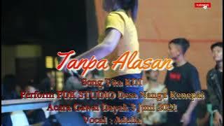 perform desa nanga kenepai (PDK STUDIO) tanpa alasan || Song Vita KDI || Cover Adelia || Remix Pro