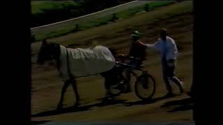 25-08-1985 Duindigt Grote prijs der 2 jarige,   All or nothing  Hubert Schoonhoven.