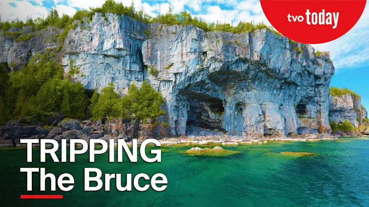 TRIPPING The Bruce | A TVO Original Documentary