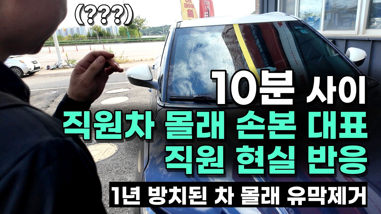 앞유리 유막 제거, 와이퍼 드드득 소리까지 멈춥니다 — 정비사가 셀프로 해본 10분 전후 (발수코팅)