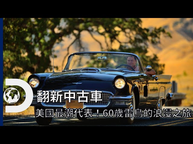 美國最潮汽車代表！60歲的福特老雷鳥的浪漫之旅，化身真正的禮車～每周二晚上《翻新中古車》Wheeler Dealer