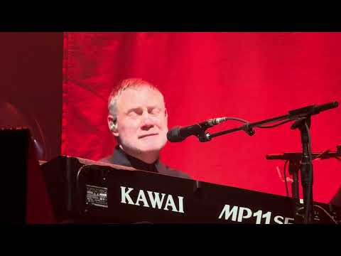 David Gray -