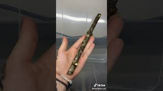 Leaf And Stick Insect