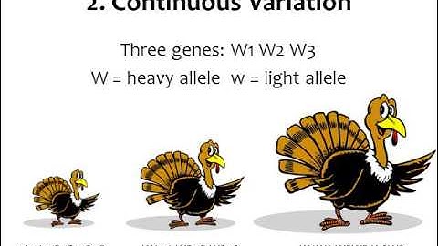 BI 177 Chapter 17 Complex Patterns of Inheritance