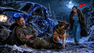A Poor Nurse Followed a German Shepherd Through the Snow — Then a Wounded Navy SEAL Helped Her Sa...