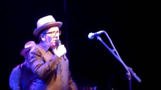 Elvis Costello - She @ Gent Jazz 20-07-2013