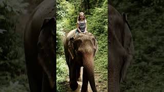 A Fairytale Friendship A Childs Bond With An Elephant Nature