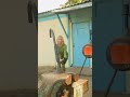 heating and stretching a spring #shortvideo
