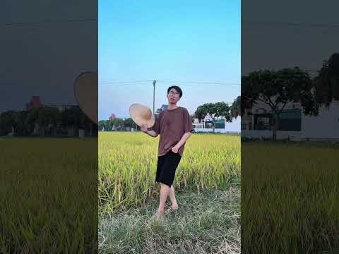 Đam mê ca sĩ nhưng phải đi gặt#shortvideo #emcobanglongvequemecunganh #cover #nhachaymoingay