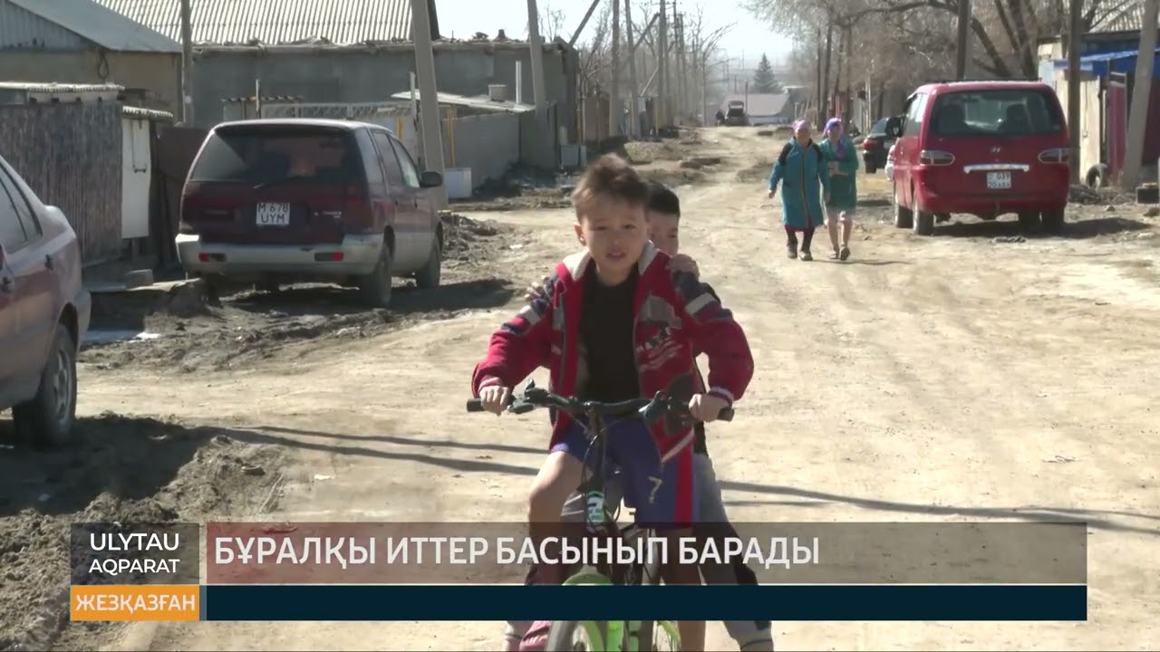 Бұралқы иттер басынып барады
