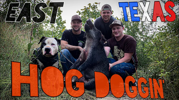 Hog Doggin: A Texas Hog Hunt **Graphic** #hoghunting