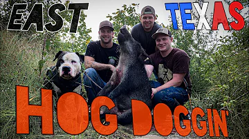 Hog Doggin: A Texas Hog Hunt **Graphic** #hoghunting