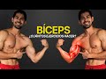 ¿Cuántos Ejercicios Necesitan tus Bíceps para CRECER?