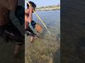 fishing video #shorts #fish #viral