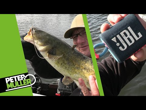 Catfishing with techno beats - #catfishing #fishing #angeln #techno #JBL