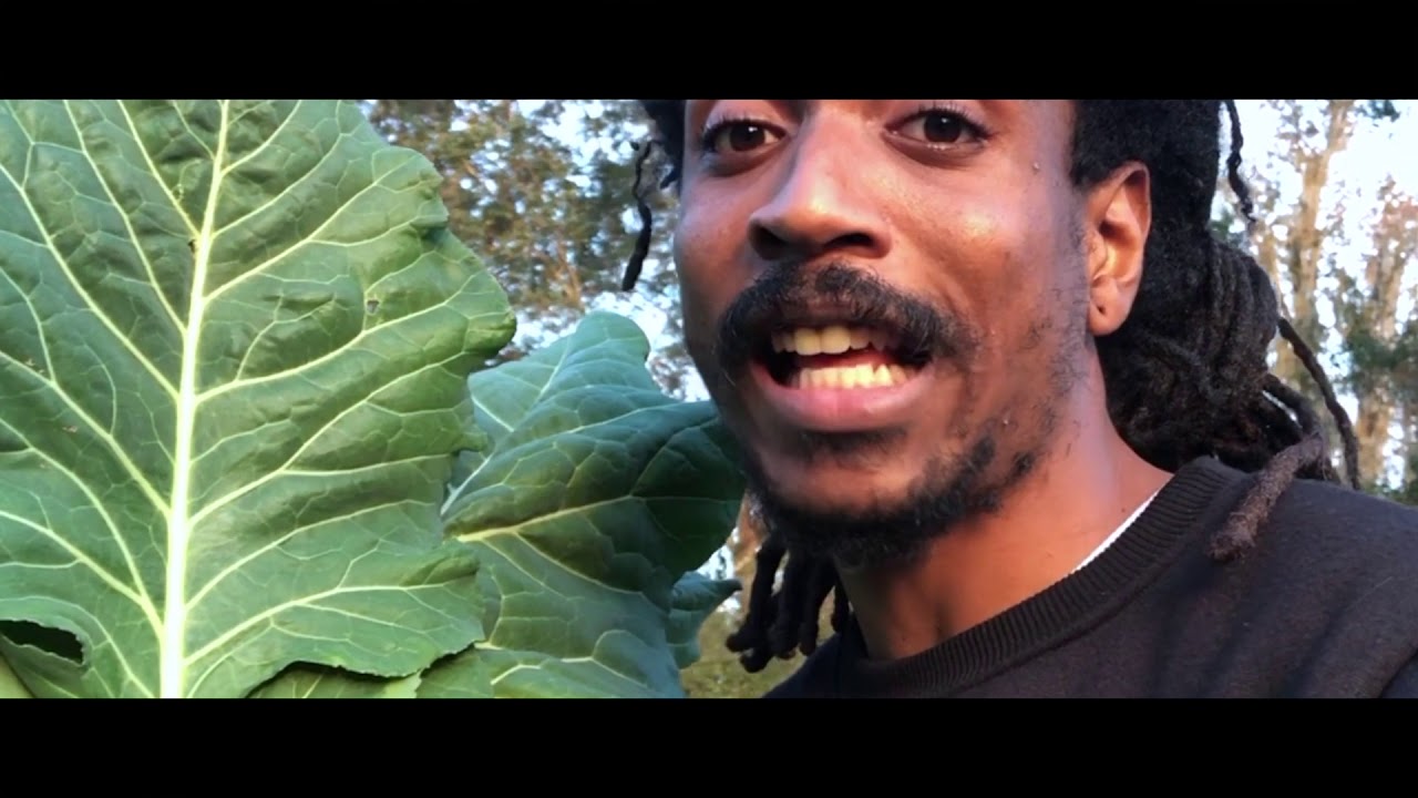 Vegan Rap (Glorious Freestyle)