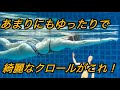 あまりにもゆったりで綺麗なクロールがこれ！