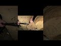 Live Edge Mystery Pt 1