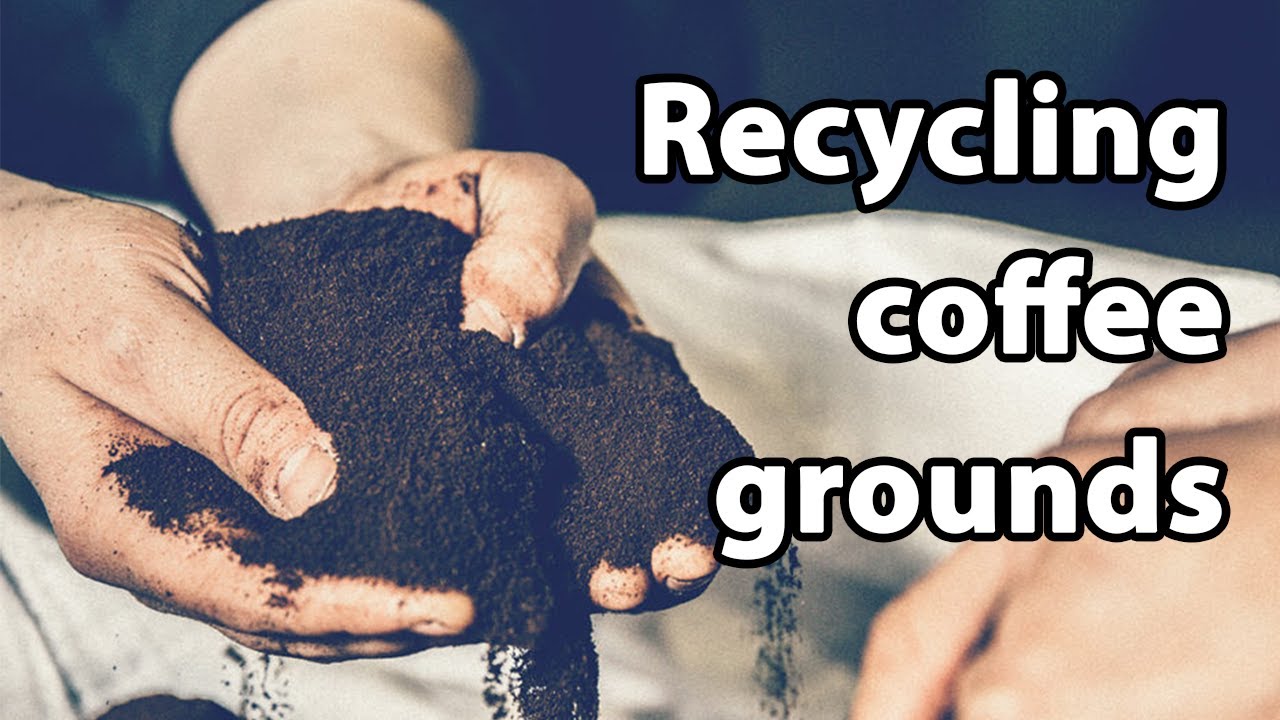 Recycling Coffee Grounds Into Coffee Logs BioBean YouTube