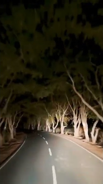 Naik Sepeda Horor di Malam Hari 🤯😵🎃 #shorts #nightdrive #horrorstories