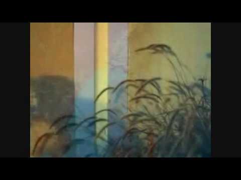 John Frusciante - The Slaughter