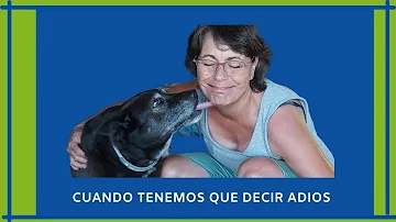 ¿Cómo sé si ha llegado el momento de sacrificar a mi perro?