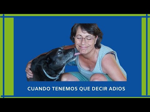 Video: Eutanasia Canina: Cómo Saber Que Es Hora