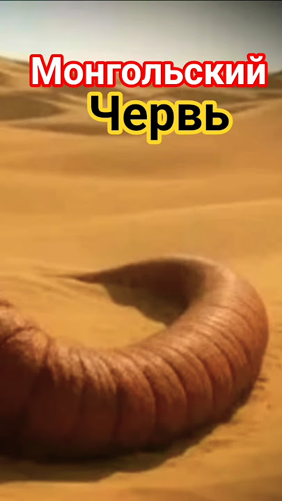 Qadimgi yalangoch semiz ayollar Onlayn porno ramka