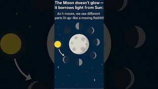 Why Does the Moon Change Shape? 🌕 | Fun Science Facts for Kids | The Discovery Club #Shorts