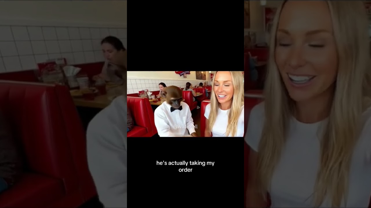 The restaurant where monkeys are cooking the food #funny #food #ai #monkey #vlogs