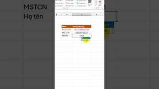 Hàm mstCanhan() Tra cứu mã số thuế cá nhân #excelfansonly #excel
