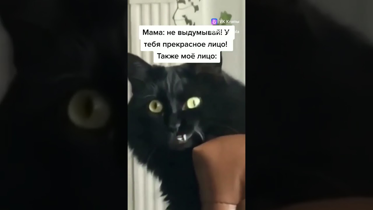 Б** у кого также ? 