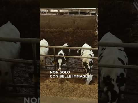 Hai un’azienda agricola, una cantina o un agriturismo? Raccontiamola insieme. - ftd19ZDPqt0