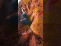 پروازِ حیات | Flight of Life 🌍 | ایک پرندے کی آنکھ سے دنیا کا حسین سفر