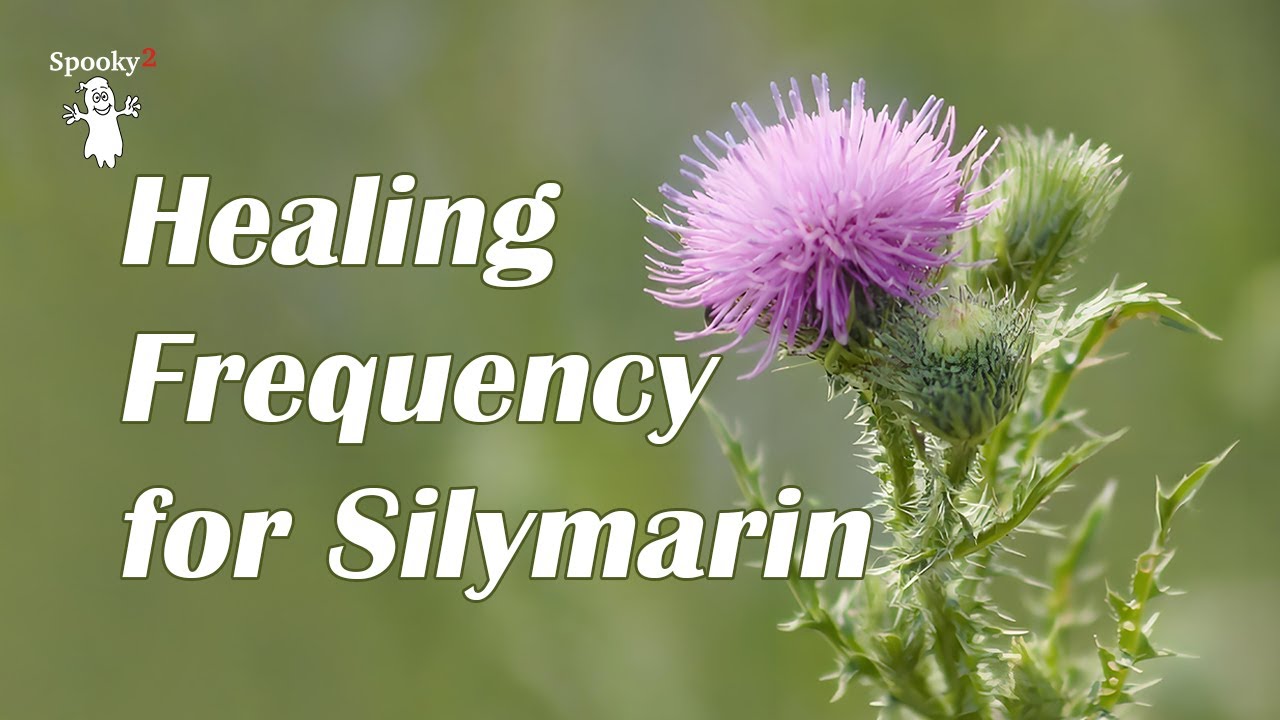 Healing Frequency for Silymarin | Deep Liver Cleanse, Detox & Cellular Repair| Silymarin-Inspired