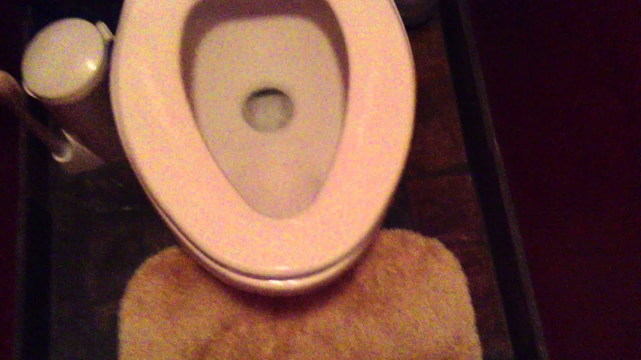 American Standard Plebe toilet YouTube