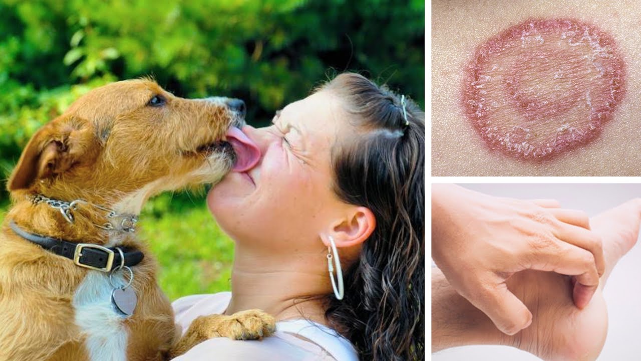 Is It Safe To Kiss Your Dog