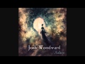 Josh Woodward - Let It In