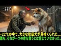−22℃の中で、大きな秋田犬が見捨てられた…。誰も、それが一つの命を救うとは信じていなかった。