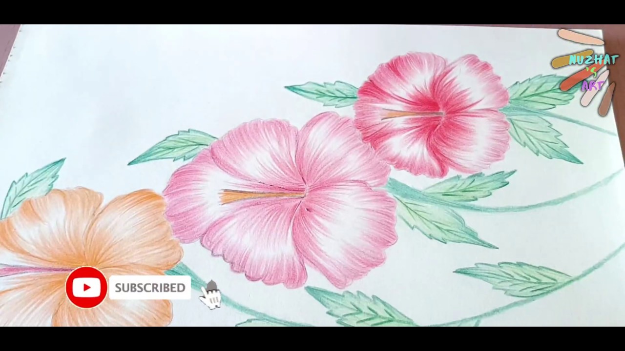How to draw hibiscus flower || Shading &amp; colouring of hibiscus flower ...